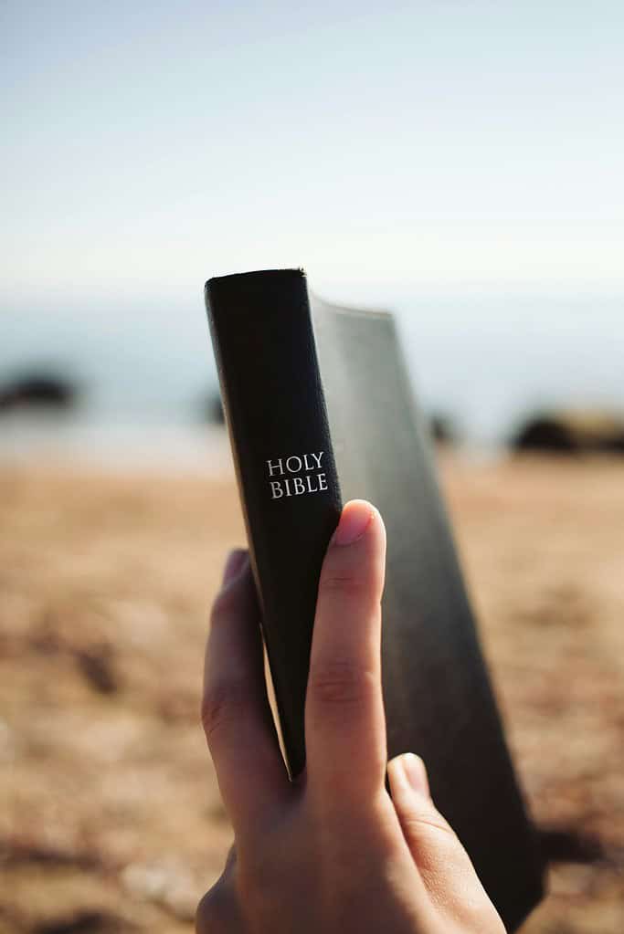 Someone holding a bible in their hand
