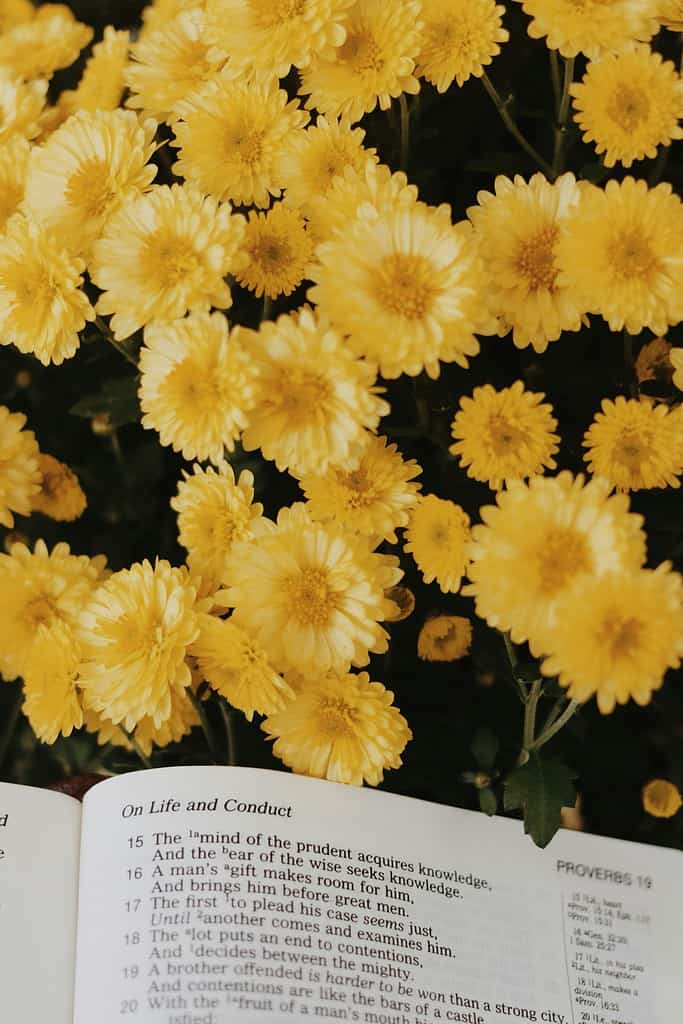 A bible opened on top of flowers