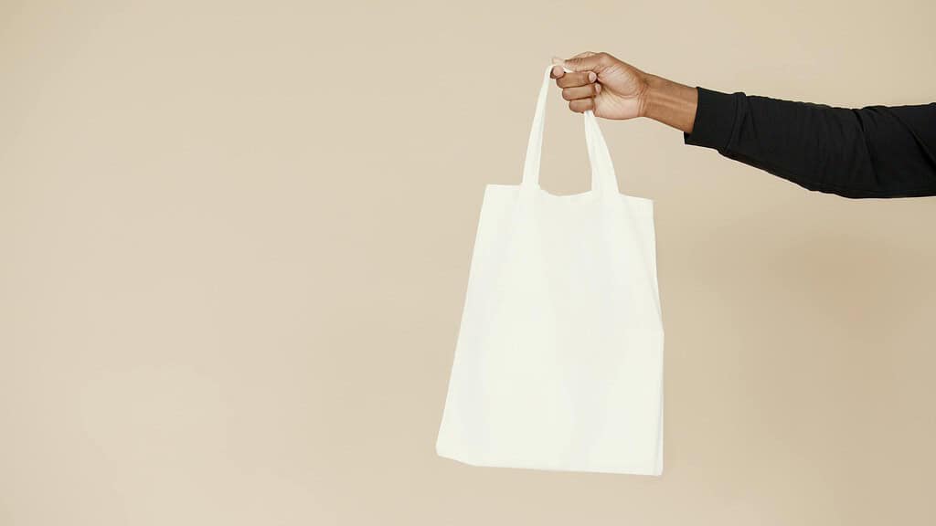 a Tote Bag an alternatives to Common Plastic items