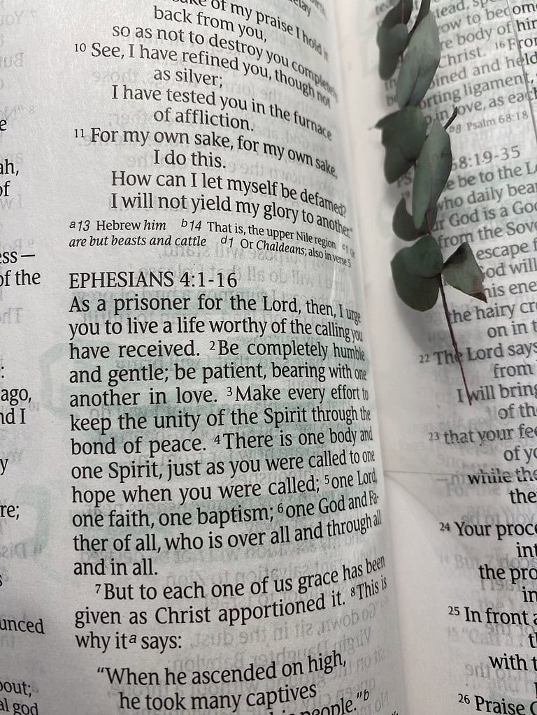 Highlighted bible passage